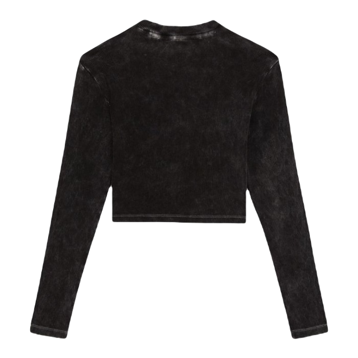 DICKIES NEWINGTON LONG SLEEVE T-SHIRT - ACID BLACK