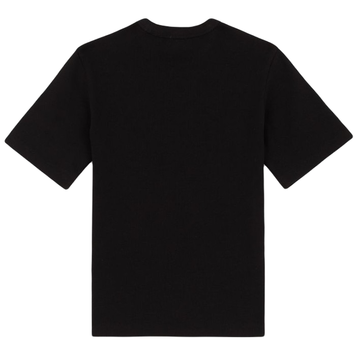 DICKIES MARYSVILLE SHORT SLEEVE T-SHIRT - BLACK