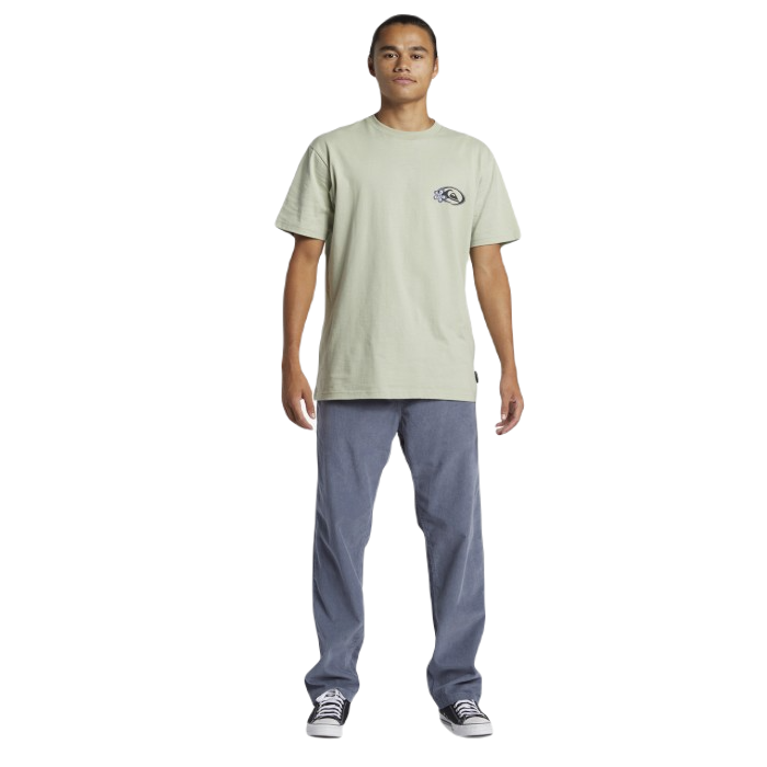 QUIKSILVER DNA BEACH BROEK FLINT STONE