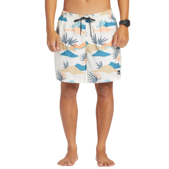 QUIKSILVER EVERYDAY ZWEMBROEK - BIRCH