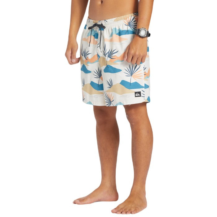 QUIKSILVER EVERYDAY ZWEMBROEK - BIRCH