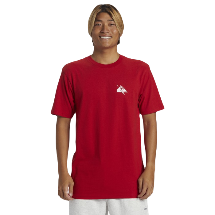 QUIKSILVER QS DNA PETROGLYPH T-SHIRT - SALSA