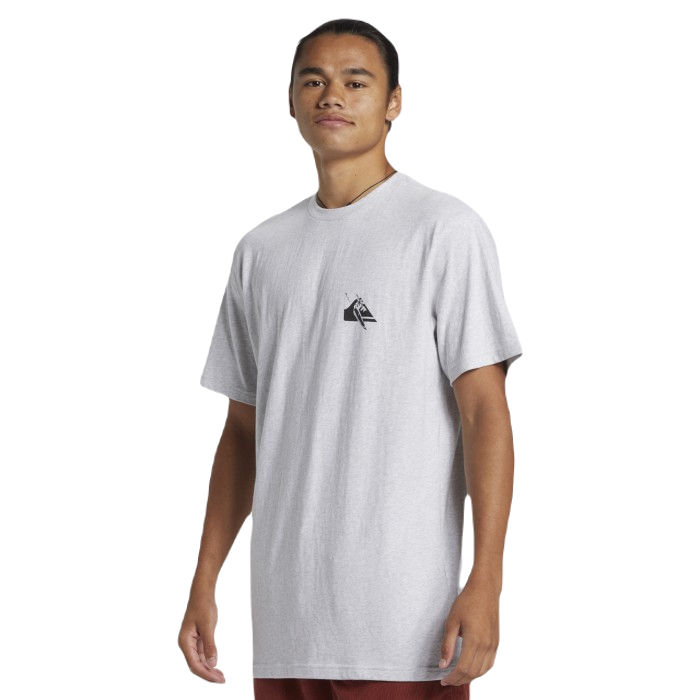 QUIKSILVER QS PETROGLYPH LOGO DNA T-SHIRT SNOW HEATHER