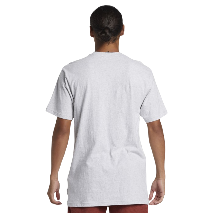 QUIKSILVER QS PETROGLYPH LOGO DNA T-SHIRT SNOW HEATHER