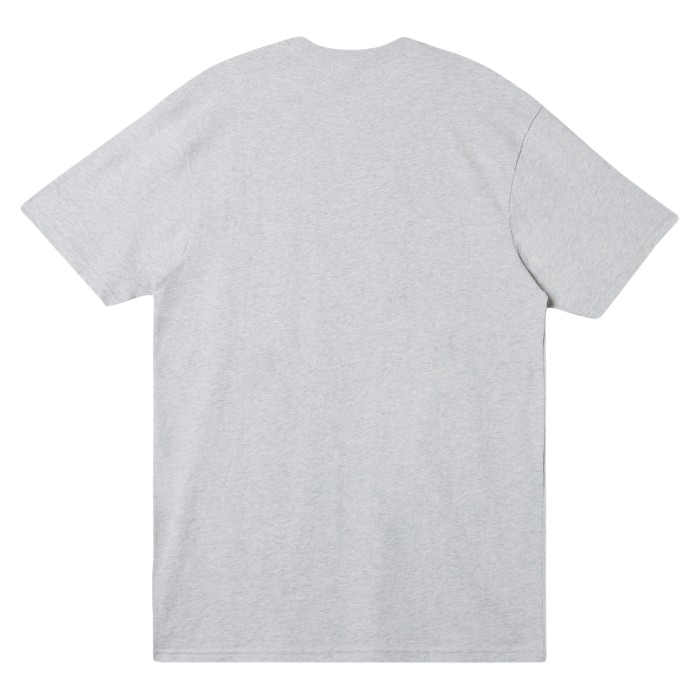 QUIKSILVER QS PETROGLYPH LOGO DNA T-SHIRT SNOW HEATHER