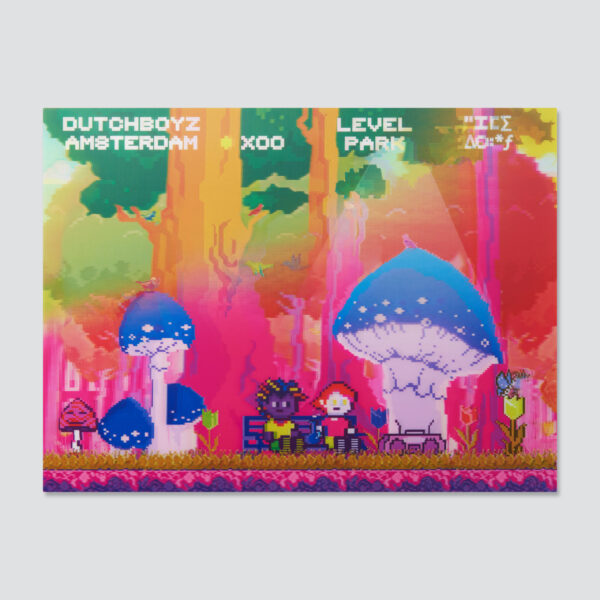 3D POSTER DUTCHBOYS MAGIC MUSHROOMS (30 X 40 CM)