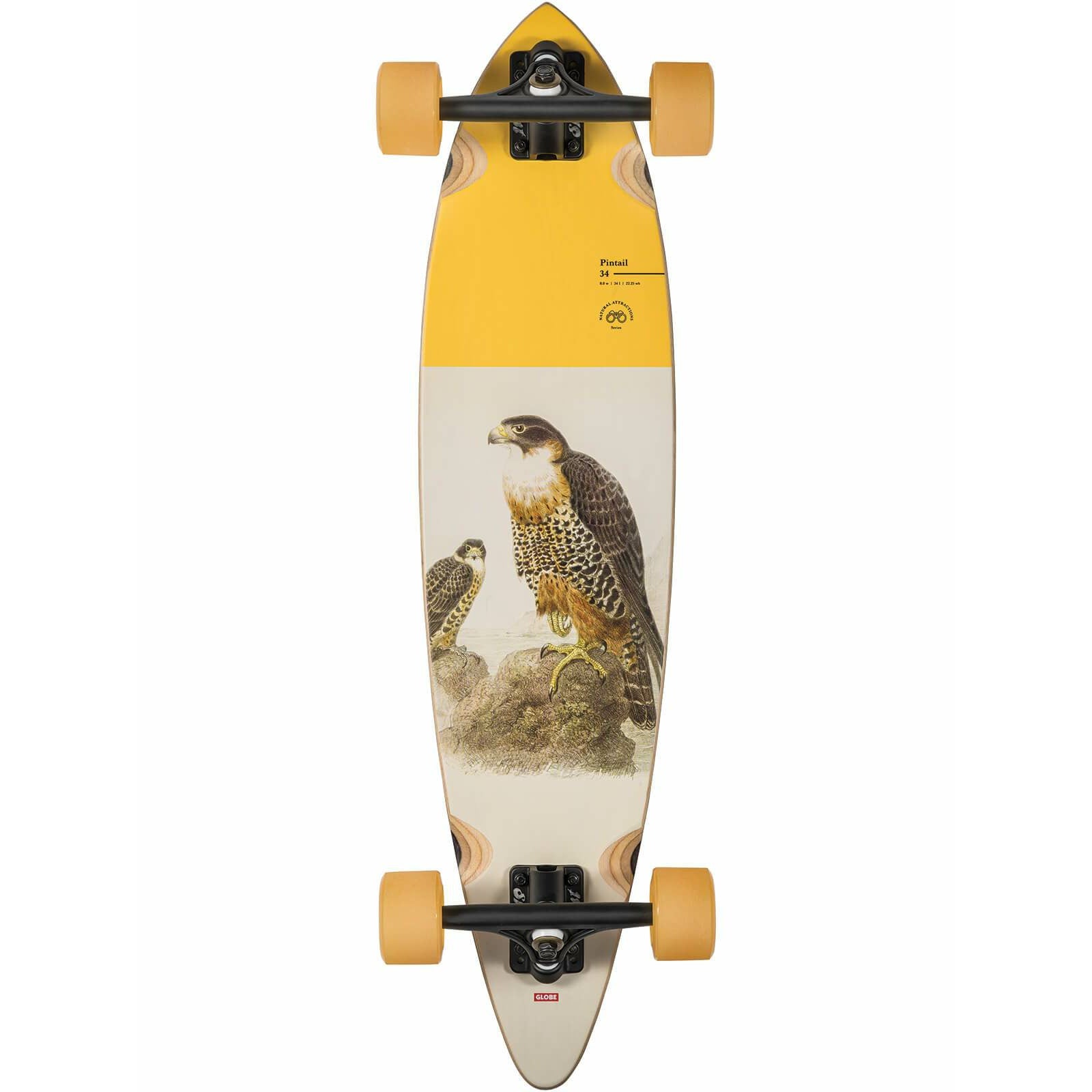 GLOBE PINTAIL 8,0" LONGBOARD KOMPLETT - FALCON