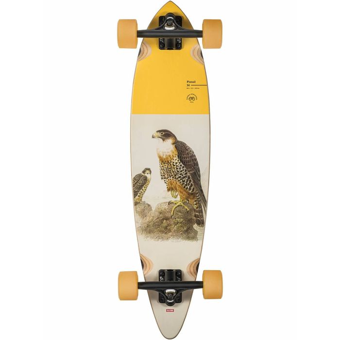 GLOBE PINTAIL 8.0" LONGBOARD COMPLETE - FALCON